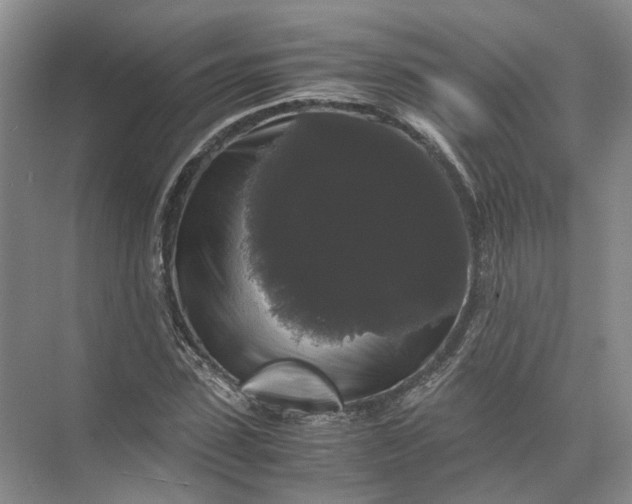 X0000071780923200607150051