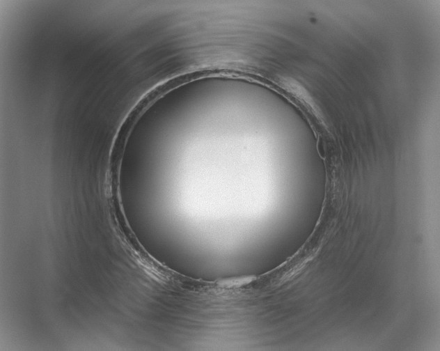 X0000071780924200607150051