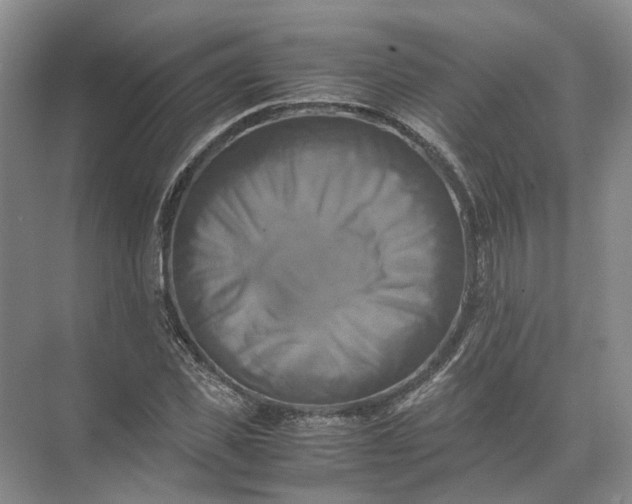 X0000071780925200607150051