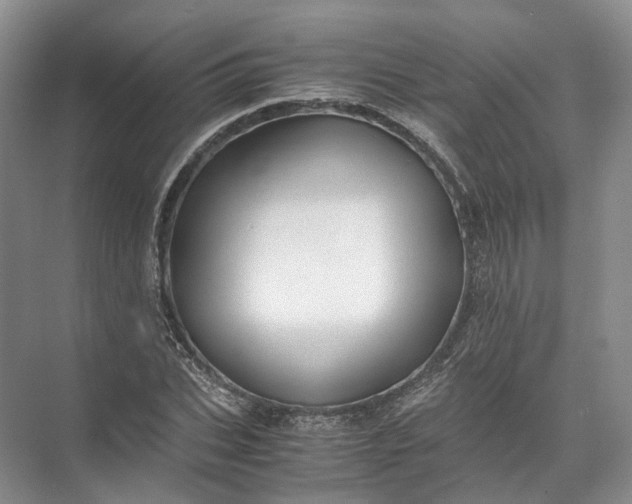 X0000071780927200607150051