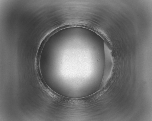 X0000071780928200607150051