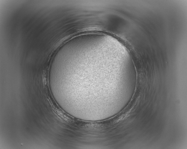 X0000071780929200607150051