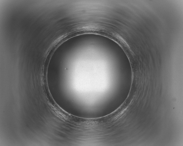 X0000071780930200607150051