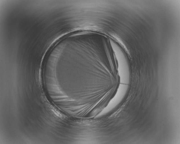 X0000071780932200607150051