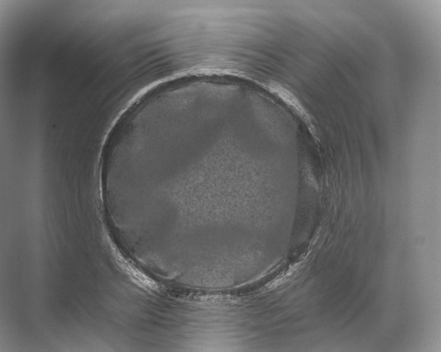 X0000071780934200607150051