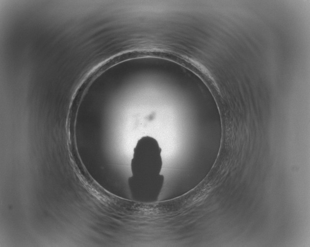 X0000071780935200607150051