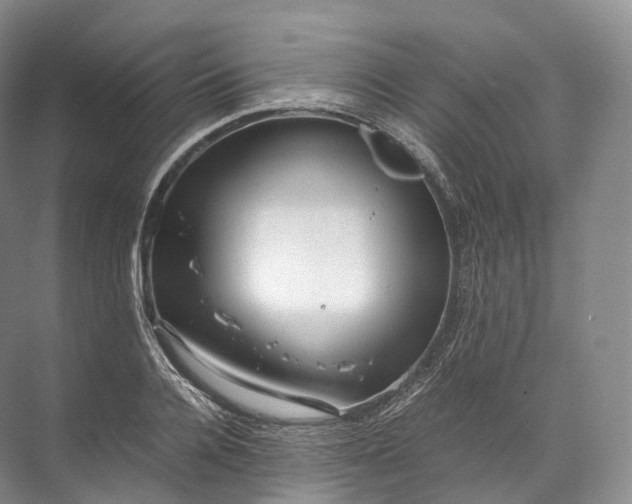 X0000071780936200607150051