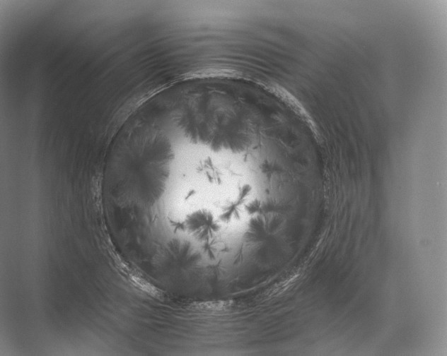 X0000071780937200607150051