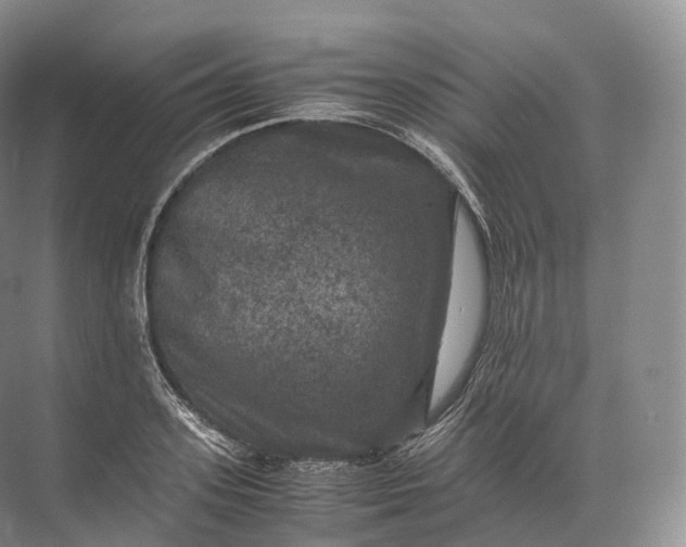 X0000071780939200607150051