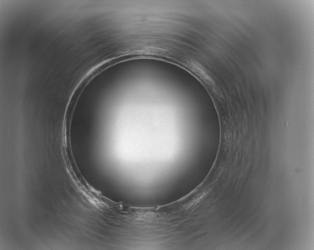 X0000071780940200607150051