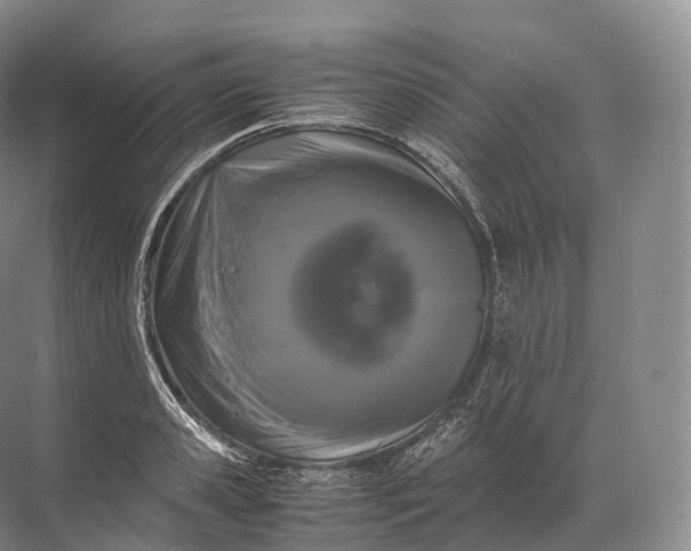 X0000071780941200607150051