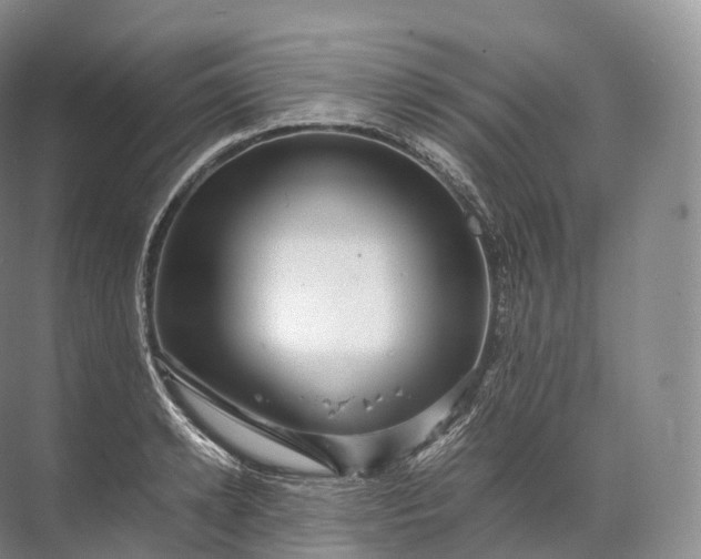 X0000071780942200607150051