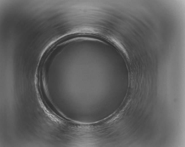 X0000071780944200607150051