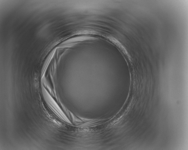 X0000071780945200607150051