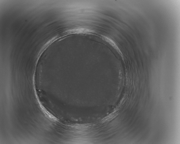 X0000071780946200607150051