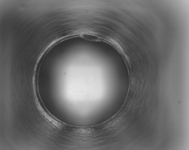 X0000071780947200607150051