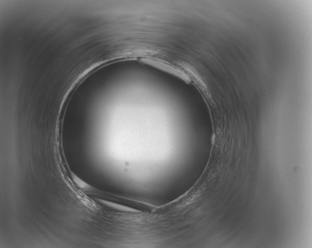 X0000071780948200607150051