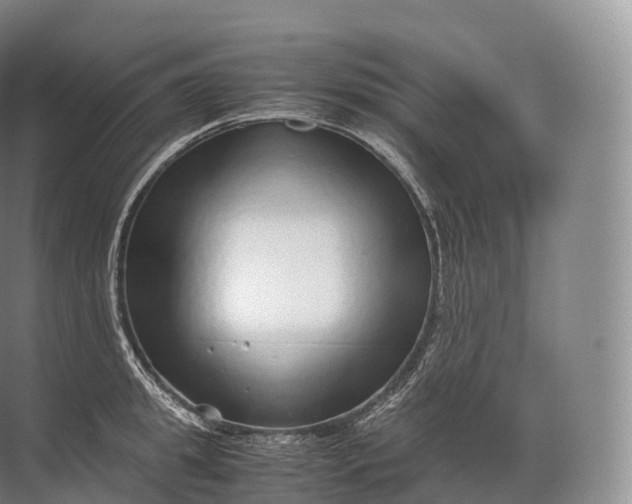 X0000071780949200607150051