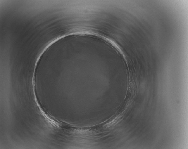 X0000071780951200607150051