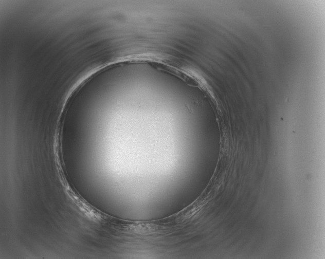 X0000071780952200607150051