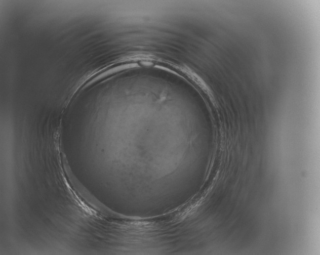 X0000071780953200607150051