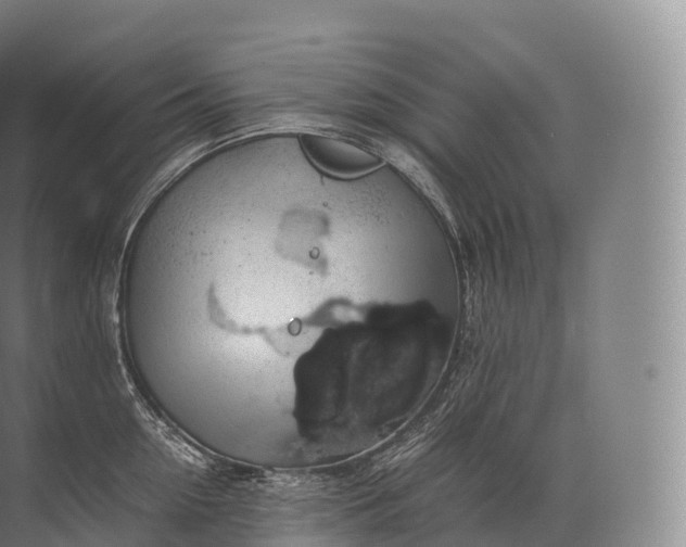 X0000071780954200607150051