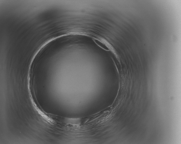 X0000071780955200607150051