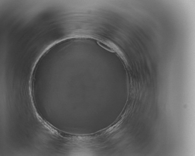 X0000071780958200607150051