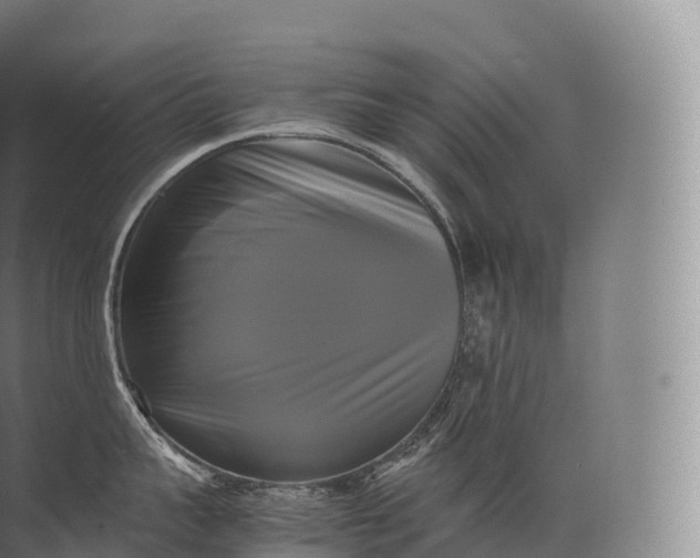 X0000071780959200607150051