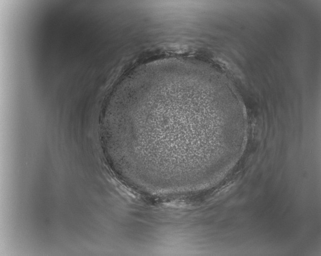 X0000071780961200607150051