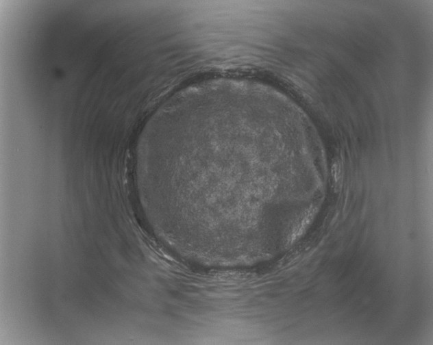 X0000071780963200607150051