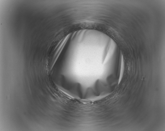 X0000071780964200607150051