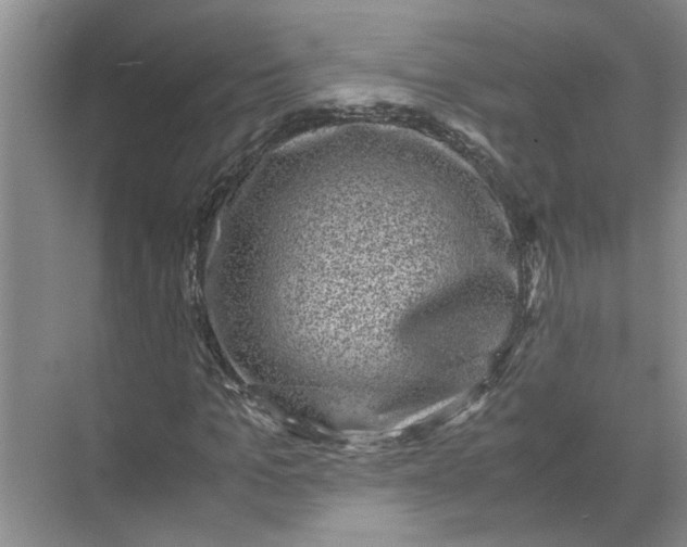 X0000071780965200607150051