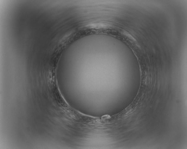 X0000071780966200607150051