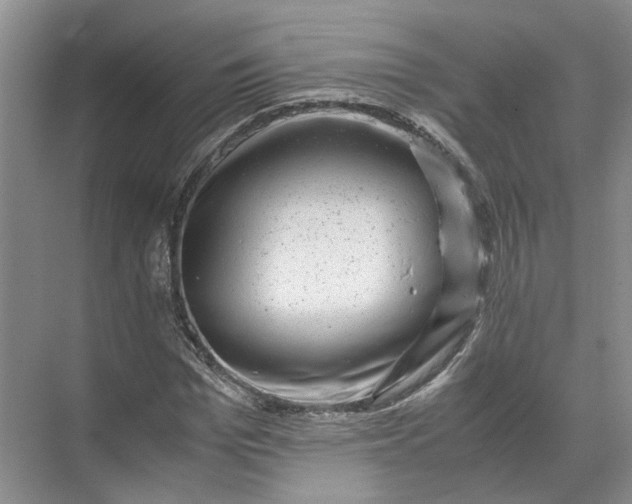 X0000071780969200607150050