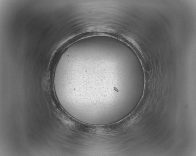 X0000071780971200607150050