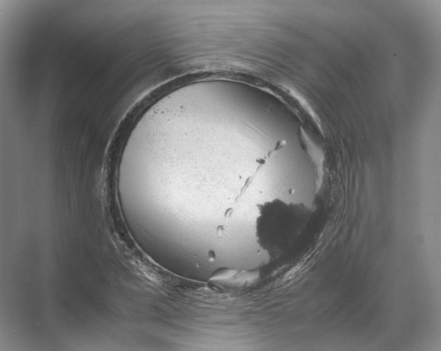 X0000071780975200607150050