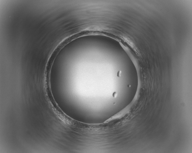 X0000071780976200607150050