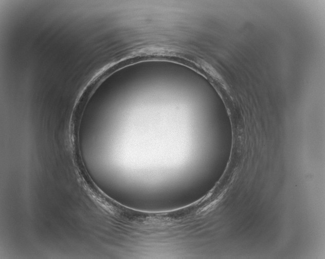 X0000071780981200607150050