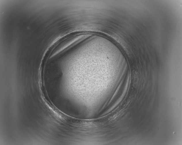 X0000071780982200607150050