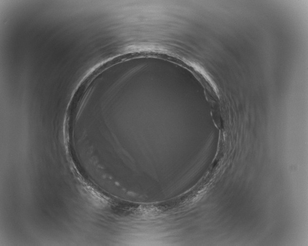 X0000071780983200607150050