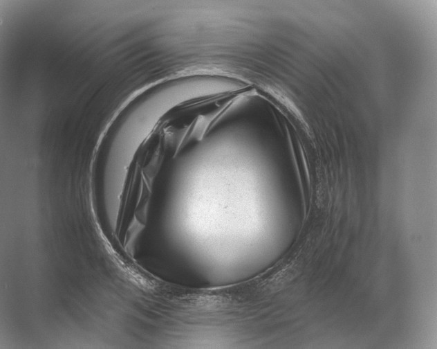 X0000071780984200607150050