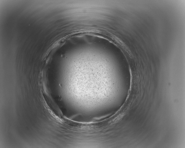 X0000071780985200607150050