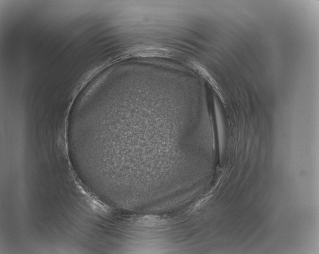 X0000071780986200607150050