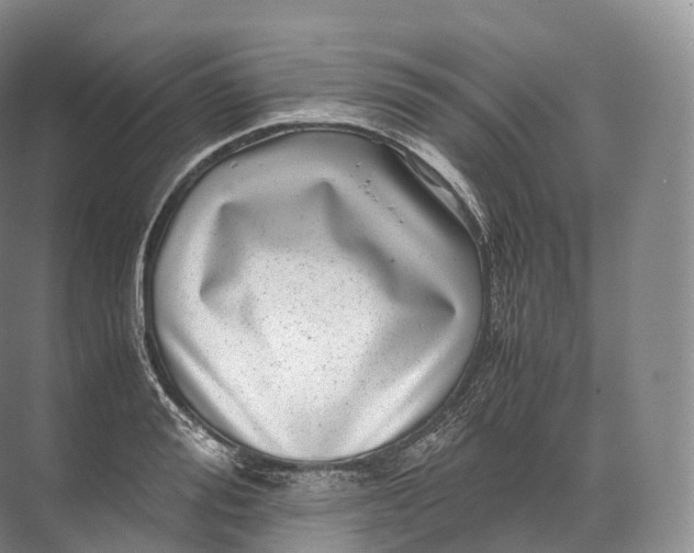 X0000071780988200607150050