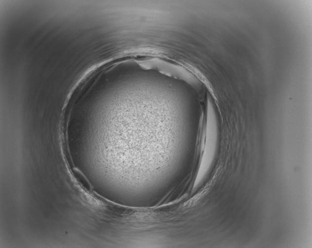 X0000071780989200607150050