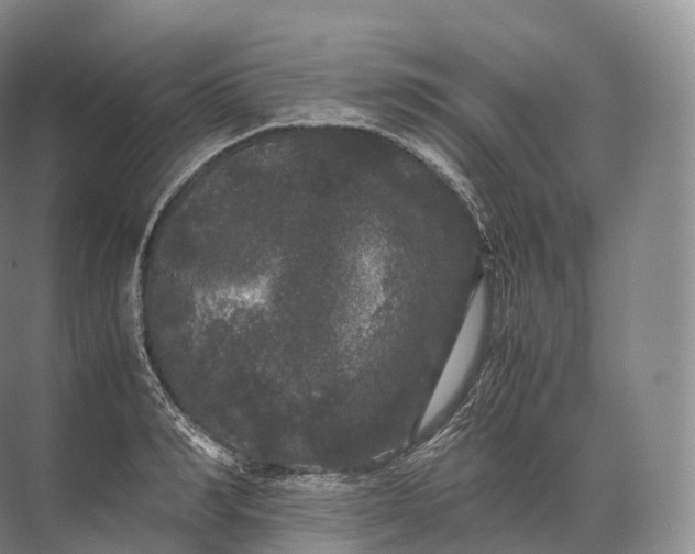 X0000071780990200607150050