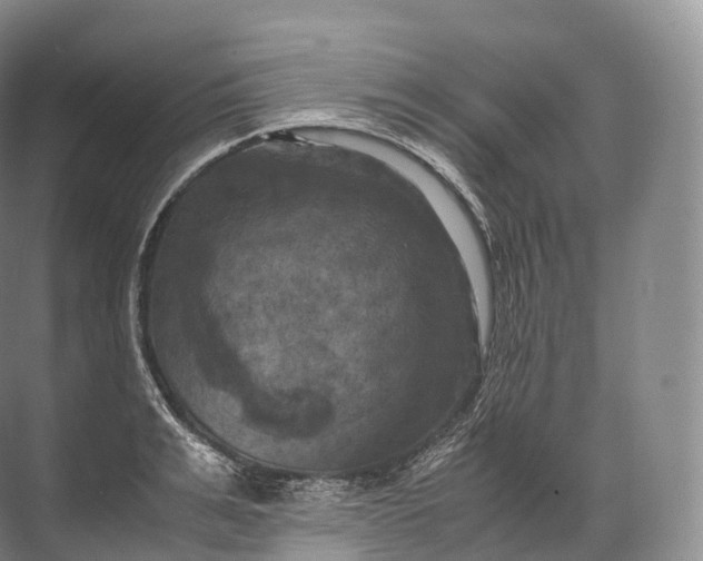 X0000071780991200607150050