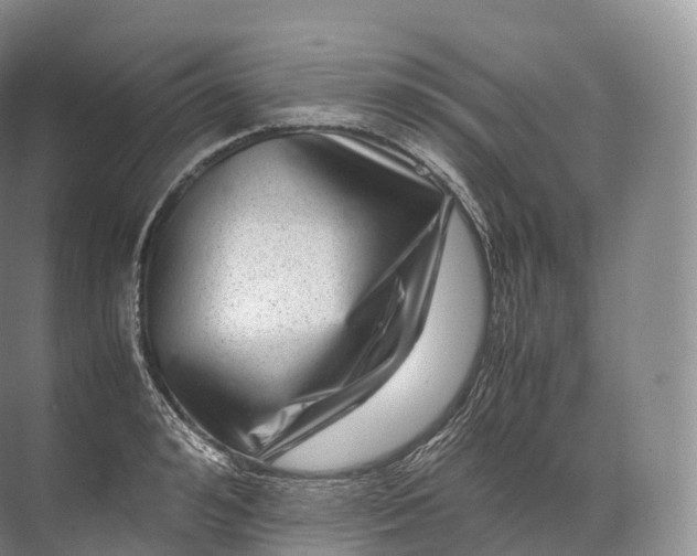 X0000071780992200607150050