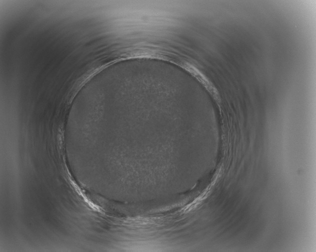 X0000071780993200607150050